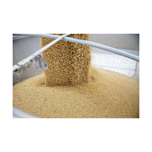 Suministro a granel de soja listo para la venta con calidad premium y alto contenido en proteínas - Product Image 6