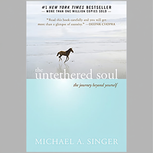จิตวิญญาณที่ไร้สาย โดยผู้เขียนไมเคิล เอ. พิมพ์หนังสือปกอ่อนแบบกำหนดเองของ Singer Paperback - Product Image 3