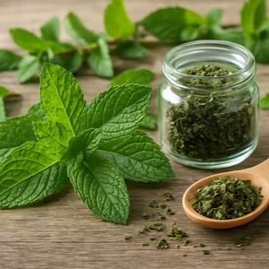 WARRLY Polvo de Tulsi Premium, Extracto Herbal de Albahaca Sagrada, Superalimento Natural de Grado Alimenticio 99%, Frasco de Vidrio, a Granel, Gujarat - Product Image 1