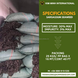 Algas Sargassum Secas para Fertilizante Orgánico y Alimento Animal – Proveedor de Vietnam - Product Image 3