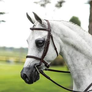 Brida de Cuero de Color Sólido de Alta Resistencia, Calidad Premium, Duradera, Auténtica, para Equitación Profesional HASHIR - Product Image 1