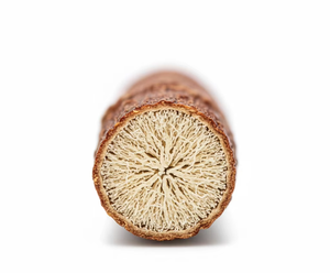 Brosse à dents naturelle Miswak |   Bâtonnet traditionnel pour soins bucco-dentaires |   Fournisseur en gros par FIT - Product Image 4