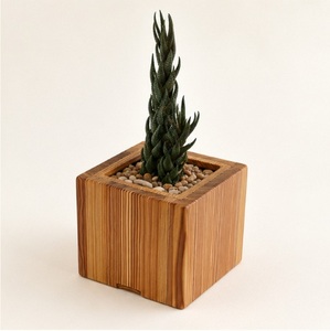Custom Modern Minimalist Wooden Succulent Planter <b>Square</b> Hand-Carved Natural Wood Flower <b>Pot</b> for Desktop Decor and Garden Decor - Product Image 1