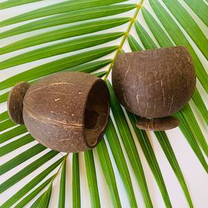 Tasse de service de crème glacée glacée fraîche, bol en coquille de noix de coco, petites mini tasses avec support pour le service des aliments - Product Image 6