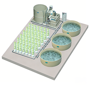 Système aquaponique Cowater pour l'élevage de tilapias en intérieur, la culture de la <span class=keywords><strong>laitue</strong></span>, l'élevage de poissons en intérieur et la culture de légumes - Product Image 2