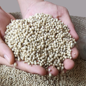 Poivre Blanc Entier Brut de Qualité Supérieure du Vietnam VILACONIC - Herbe Séchée Épicée - Pey - Product Image 1