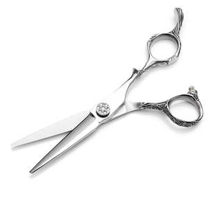 Ciseaux de coiffure professionnels, ciseaux de coiffeur 5,5 pouces, outil de coupe et d'éclaircissement, outil de barbier manuel en acier inoxydable - Product Image 1