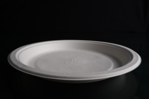 Vajilla de bagazo 100% natural de 11 pulgadas, lisa, de gran capacidad - Vajilla de bagazo al por mayor para servicios de catering y hostelería ecológicos - Product Image 3