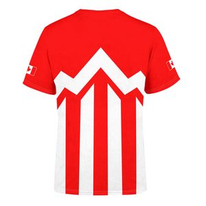 Maillot de football unisexe à drapeau national, T-shirt d'entraînement de football à manches courtes et col rond, Vêtements de sport OEM en gros - Product Image 3