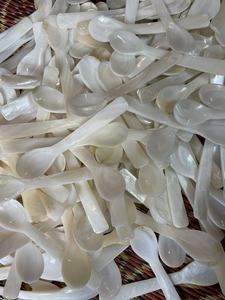 Cuchara de caviar de nácar Rosa hecha a mano al por mayor, regalos de empresa hechos de concha marina de Vietnam - Product Image 2