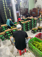 Vietnam Export Kwaliteit Pitloze Citroenen Heldergele Schone Huid Sappige Pulp Perfect Voor Sappen Koken En Wereldwijde Consumenten