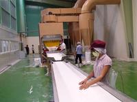 Coco Orgánico en Rodajas de Vietnam, Alto Valor Nutricional, 60-65% de Contenido de Aceite, Proceso de Secado por Congelación, Envío Inmediato, Precio al por Mayor, Contacto +84