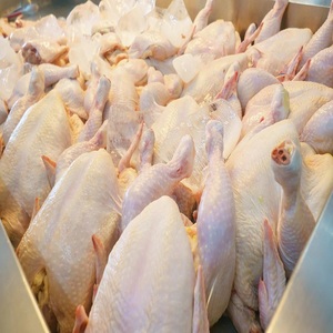 ไก่ทั้งตัวแช่แข็งไขมันต่ำ ราคาดี มีขาย - Product Image 5