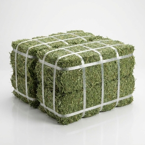 Heno de Alfalfa Premium, Alimento Nutritivo para Animales, para Caballos, Ganado, Cabras, Ovejas y Aplicaciones de Alimentación en Granjas Lecheras - Product Image 3