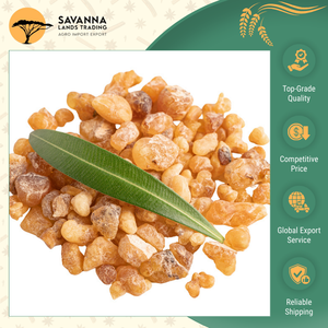 Experiencia Profunda en la Fabricación de Goma Copal de Calidad Superior, Apta para Uso en Incienso y Productos de Fragancia - Product Image 5