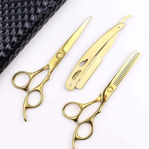 Kit de ciseaux de coiffure et de ciseaux à effiler en acier inoxydable pour barbier, avec étui zippé - Product Image 3