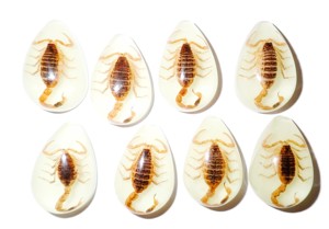 Golden Scorpion Real Specimen Plastic Cabochon Pear Shape Cut <b>Top</b> 33x22 mm Glow Flat Bottom for Crafts and Jewelry Making - Product Image 6
