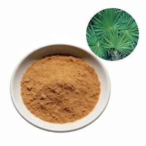 Pure <b>Saw</b> Palmetto Powder Premium Serenoa Repens Powder for Healthy Hair Care Routines, Scalp Nourishment, Hair Strength Support - Product Image 1