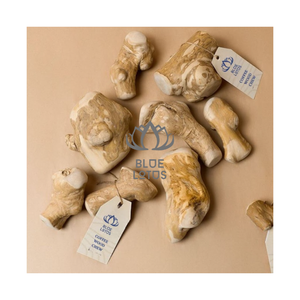 LE PLUS RECHERCHEUR : Jouet à mâcher en bois de café 2025 pour chiens, favorisant le blanchiment des dents et la gestion du stress – Outil d'entraînement durable en bois massif pour animaux de compagnie - Product Image 1