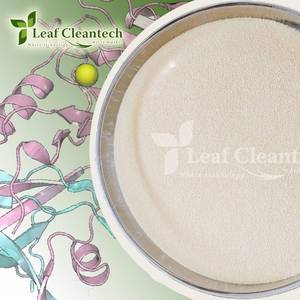 Enzima de glucoamilasa PARA LA hidrolisis del almidón-Conversión de azúcar-Procesamiento de alimentos y bebidas de la India | Enzimas de Alimentación y Nutrición | - Product Image 2