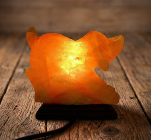 Lampe en sel de l'Himalaya sculptée en forme de chien, artisanale, écologique, en cristal rose, pierre de sel du Pakistan, pierre naturelle décorative - Product Image 1