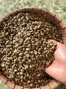 GRANOS DE CAFÉ VERDE, Granos de Café Verde Robusta y Arábica Vietnamita, Grado Limpio S14 S16 S18, Grado 1, Mejor Precio, Venta al por Mayor, Bolsa de 60 kg - Product Image 2