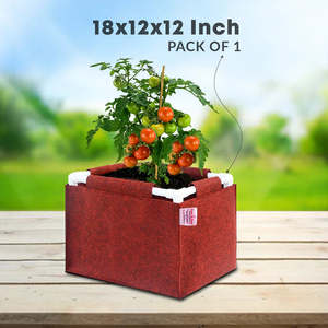 Sac de culture rectangulaire en tissu géotextile Casa De Amor 350 GSM avec support en tuyau PVC, idéal pour la culture de légumes sur terrasse - Product Image 1