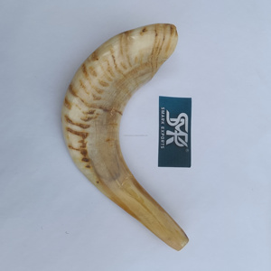 Shofar de cuerno de carnero natural, el más vendido, bellamente elaborado para ceremonias, festividades judías, uso espiritual y eventos religiosos - Product Image 4