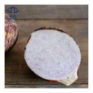 Chips de Taro Secos de Alta Calidad, Bocadillo Crujiente para Uso Diario e Ingrediente de Cocina, Ayuda a Reducir el Hambre y a Proporcionar Energía 2026 - Product Image 5