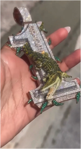 Colgante de Moissanita Estilo Hip Hop, Plata de Ley 925, con Números de Cocodrilo, Incrustaciones VVS, Personalizado - Product Image 5