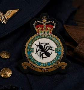 RAF-9006 Custom Embroidered Patch with Crown Eagle Design Lace Sew-On Fabric Badge Safety Pin for Garment Circular Style - Product Image 3