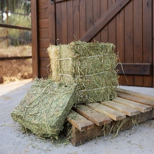 Heno de Alfalfa de Grado Agrícola para Alimentación de Ganado, Ofrece Forraje Limpio, Proteína Natural, Fibra Rica y Almacenamiento Conveniente en Venta - Product Image 6