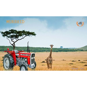 Massey Ferguson MF 240 2WD 50 HP รถแทรกเตอร์ทนทาน50 HP ที่ดินขนาดเล็กประสิทธิภาพยาวนานสำหรับเอธิโอเปีย - Product Image 2