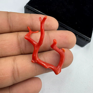 ลูกปัดปะการังสีแดงรูปทรงกิ่งไม้ พลอยดิบสำหรับทำเครื่องประดับ รูปทรงต้นไม้ ปะการังอิตาลี - Product Image 1