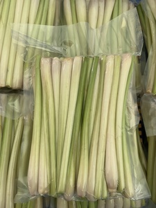 Hierba de Limón Congelada 100% Pura en Palitos/Picada/Rebanada - 1 Año de Vida Útil - Exportada de Vietnam - Sra. Diana Viet Delta - Product Image 2