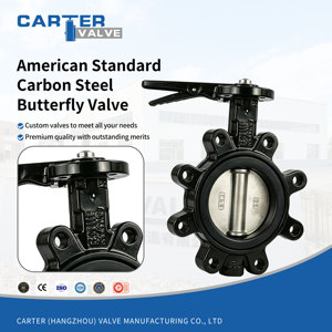 Válvula de <span class=keywords><strong>Mariposa</strong></span> de Acero al Carbono Estándar Americano ANSI WCB A216 Tipo Wafer con Engranaje Manual de Triple Excentricidad y Sello Suave para Agua y Aceite - Product Image 3