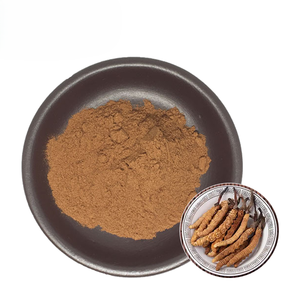 Extrait de Cordyceps Militaris Sélectionné 10:1 en Poudre – Qualité Supérieure pour l'Énergie Naturelle et la Vitalité - Product Image 3