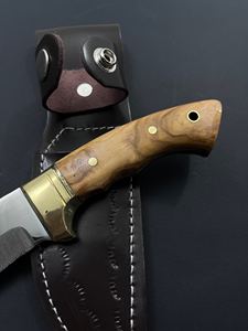Couteau de chasse et de survie Jexa 4116 en acier inoxydable à lame fixe, bord partiellement dentelé, avec manche en bois d'olivier et étui en cuir - Product Image 3