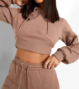 Conjunto Deportivo de 2 Piezas para Mujer, Sudadera Corta con Capucha, Pantalones Largos de Chándal, Estilo Casual Holgado, Sudadera con Capucha de Forro Polar, Atuendo Otoñal - Product Image 3