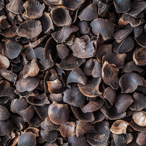 เปลือกปาล์มธรรมชาติอัดแท่งสำหรับปุ๋ยหมักในสวนเกษตร ปุ๋ยหมักในสวนผลไม้ และวัสดุปูรองพื้นสำหรับสัตว์ บรรจุภัณฑ์ก้อน 20 กก. จากออสเตรีย - Product Image 6