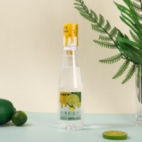 DANLY Natuurlijke Fruitgeïnfuseerde Passievrucht & Sinaasappel Honingdrank 435ml Geflesseerd Kant-en-klaar drankje voor de detailhandel