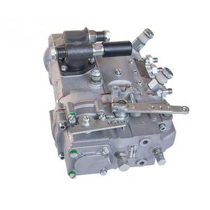 D7002 1111100A 493 B4A71D 191000 210001 10 Pièces de moteur diesel pour machines chinoises Pompe d'injection de carburant - Product Image 2