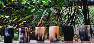 Vaso de whisky de cuerno real Logotipo personalizado Vaso de cuerno de beber corto para fiestas y bar Vaso de cuerno de búfalo - Product Image 3