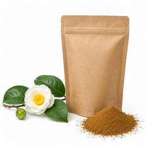 Fournisseur d'ingrédients antioxydants naturels : Poudre d'extrait de Camellia Sinensis, matière première de thé vert de qualité supérieure pour la nutrition fonctionnelle - Product Image 3