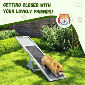 Balancín de Madera Resistente a la Intemperie para Perros, 83L X 16W X 14H, Equipo de Entrenamiento y Ejercicio en Color Blanco - Product Image 5