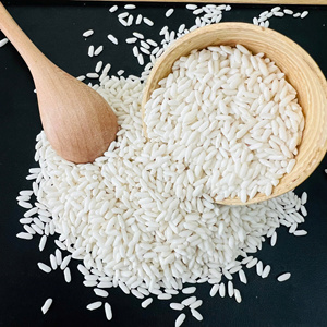 Riz Glutineux Jasmin du Sud du Mekong, Vietnam, Séché, Doux, 5% de brisure, Nouvelle Récolte, Blanc, Durée de Conservation 2 Ans, Export An Giang, 14% d'humidité - Product Image 4