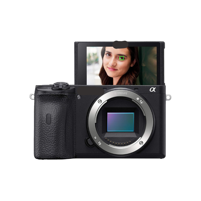 Alpha A6600 Mirrorless Camera with SEL1655G Alpha 16-55mm F2.8 G Standard Zoom APS-C Lens