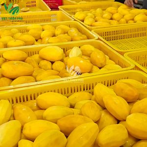 PREMIUM IQF FROZEN <b>MANGO</b> – VACUUM PACKED – VIETNAM ORIGIN - HIGH QUALITY - Product Image 3