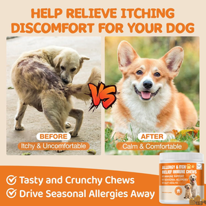 Friandises à Mâcher Tendres pour Chiens : Soulagement des Démangeaisons Allergiques, Soutien Immunitaire, Saveur Poulet, Champignons et Curcuma pour la Santé de la Peau et du Pelage – Toutes Races, Tous Âges - Product Image 6