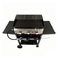 Barbecue à gaz en acier inoxydable avec table latérale pour le camping en plein air, les pique-niques et la maison - Bonnes ventes